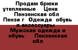 Продам брюки  утепленные  › Цена ­ 350 - Пензенская обл., Пенза г. Одежда, обувь и аксессуары » Мужская одежда и обувь   . Пензенская обл.